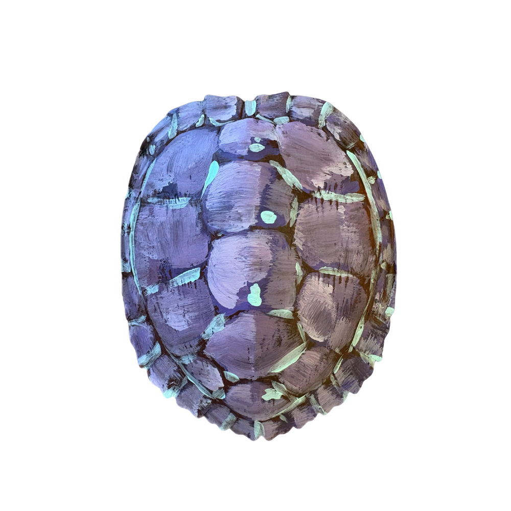 Studio Amanda Talley