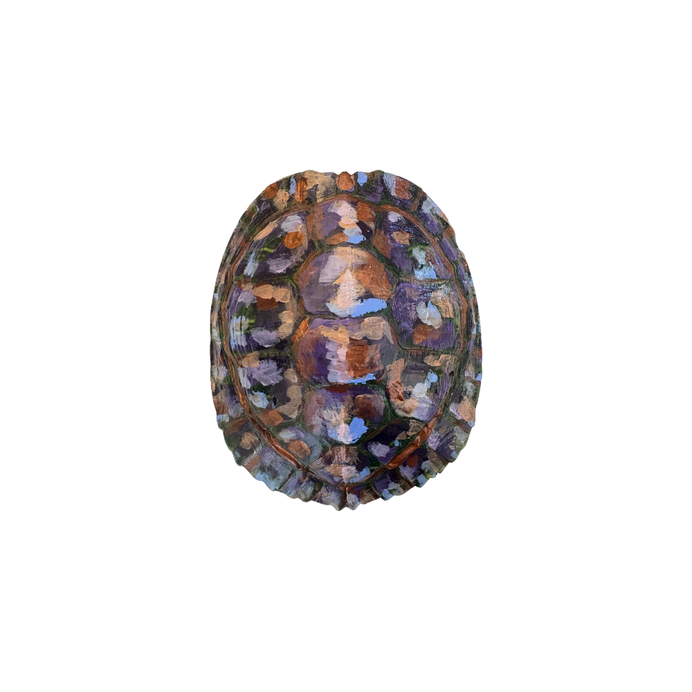 Studio Amanda Talley