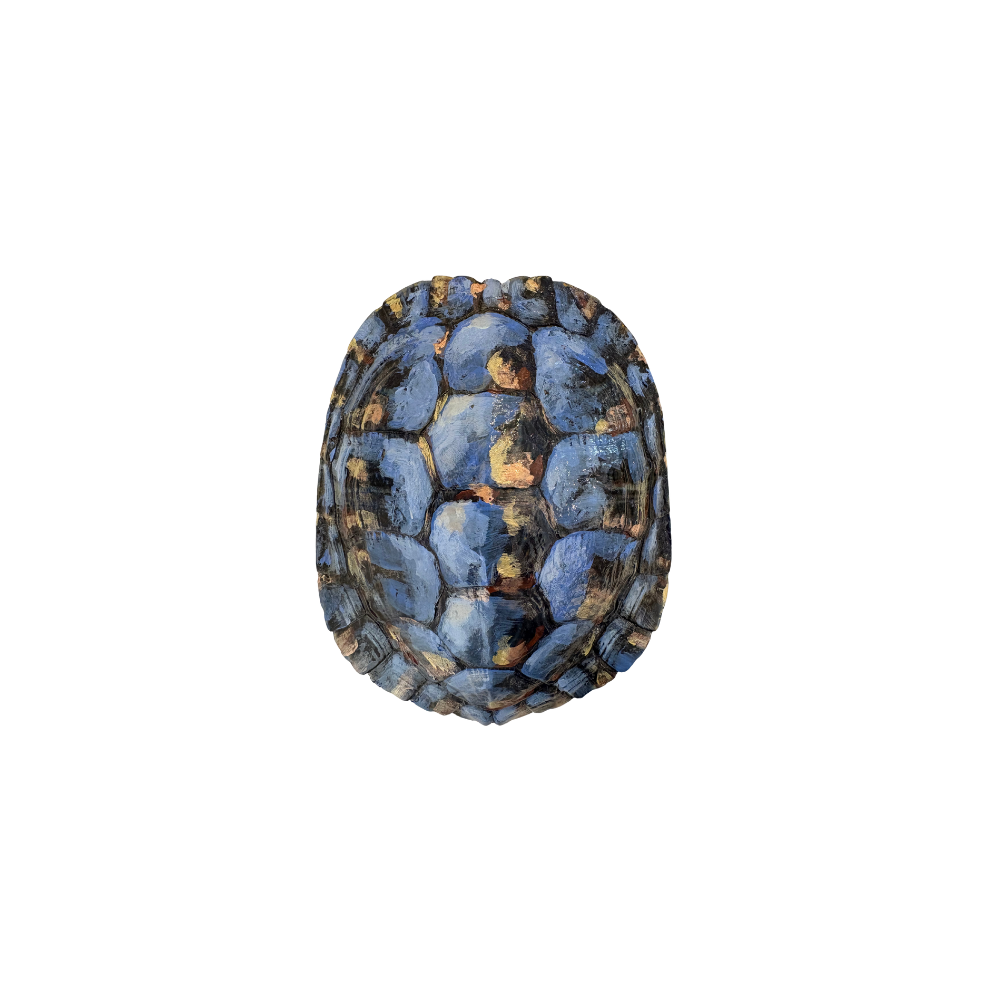 Studio Amanda Talley